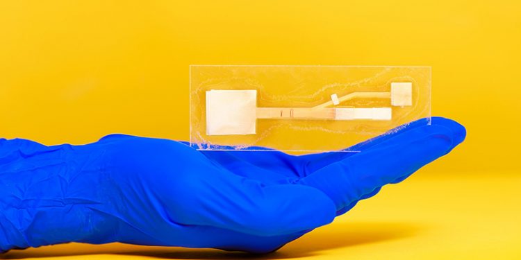 Paper device could bring portable coronavirus detection, but funding bars production