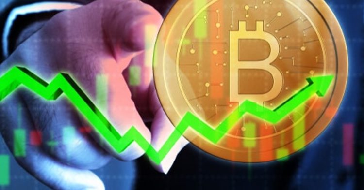 What I Learned Trying to Predict the Price of Cryptocurrencies