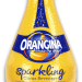 Ventures Food and Beverage Acquires Licensing to Orangina for North American Reintroduction