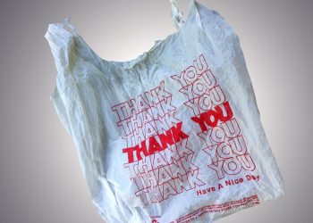 Plastic bag ban could lead to paper bag shortage, according to study