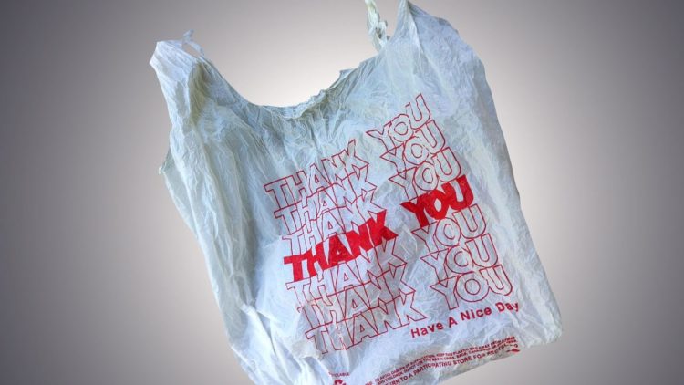 Plastic bag ban could lead to paper bag shortage, according to study