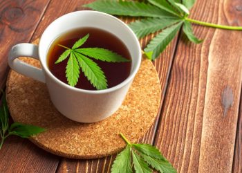 Hemp Tea and Viral Infections: Is it an Effective Treatment? – CBD Testers