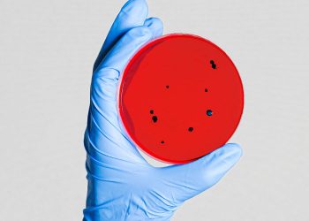 Carlucci calls for emergency state funding to combat coronavirus