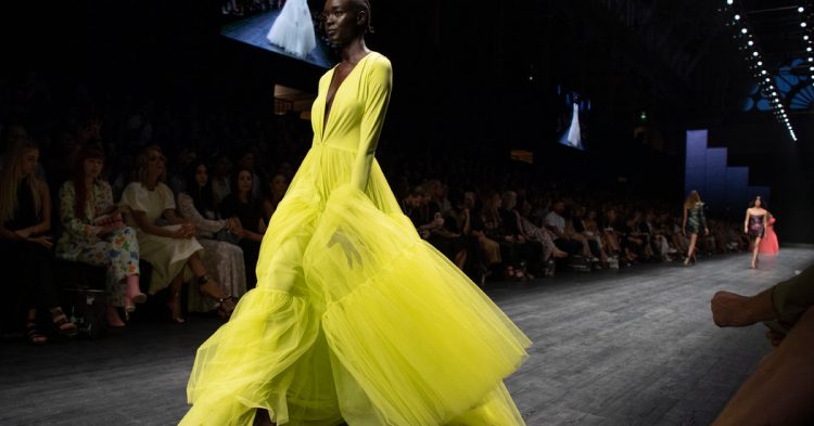 Schmancy – The New York Times