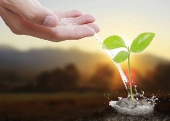 Play with These Two Stocks, But Patience Is Needed: TransEnterix Inc. (TRXC) and Automatic Data Processing Inc. (ADP)