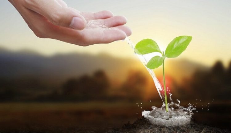 Play with These Two Stocks, But Patience Is Needed: TransEnterix Inc. (TRXC) and Automatic Data Processing Inc. (ADP)