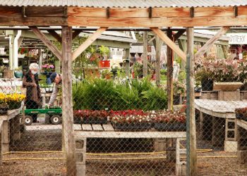 Morning Notes | ALXnow – Alexandria Now
