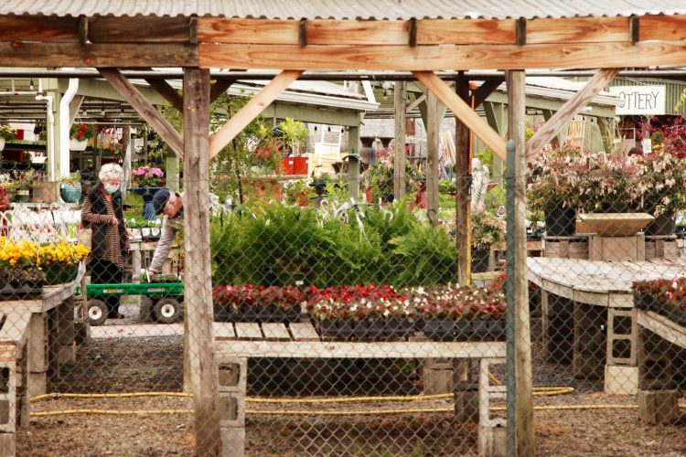 Morning Notes | ALXnow – Alexandria Now