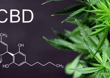 CBD for Anxiety: Why is everyone trying it?