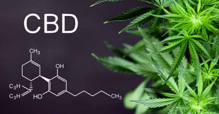 CBD for Anxiety: Why is everyone trying it?