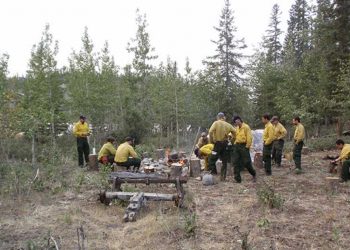Forest Service personnel provide input on fighting fire during COVID-19 pandemic