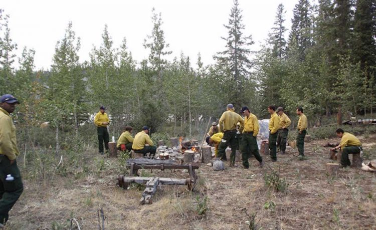 Forest Service personnel provide input on fighting fire during COVID-19 pandemic