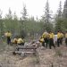 Forest Service personnel provide input on fighting fire during COVID-19 pandemic