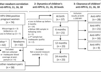 Antibodies to human papillomavirus types 6, 11, 16 and 18: Vertical transmission and clearance in children up to two years of age
