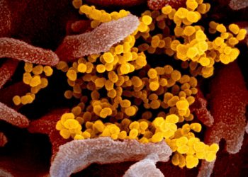 Live Stock Market Tracker During Coronavirus Pandemic