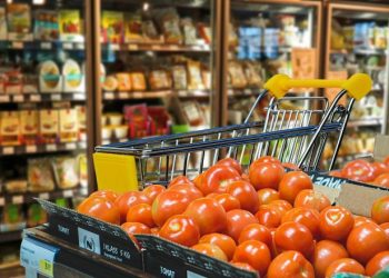 More US Consumers Cooking at Home, Producing Less Food Waste Amid COVID-19 Pandemic