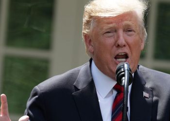 Trump may restrict immigration visas for highly skilled workers