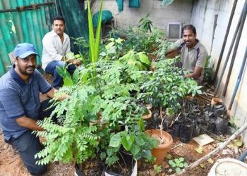 Streets are their gardens – The Hindu