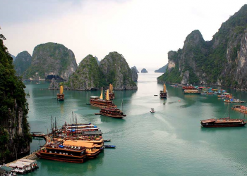 Vietnam Holding Limited – Early mover advantage