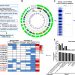 Remote modulation of lncRNA GCLET by risk variant at 16p13 underlying genetic susceptibility to gastric cancer