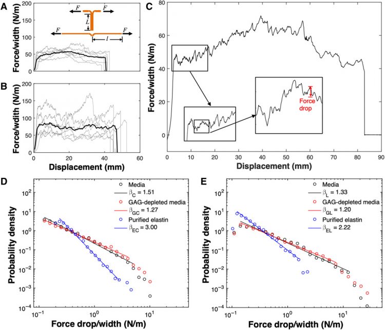 Avalanches and power law behavior in aortic dissection propagation
