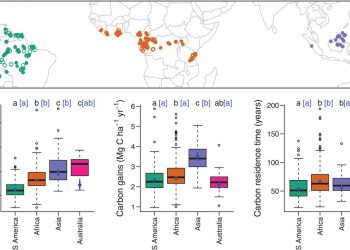 Long-term thermal sensitivity of Earth’s tropical forests
