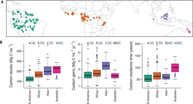 Long-term thermal sensitivity of Earth’s tropical forests