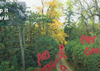 Newmarket’s historic Mulock property park moves to design phase