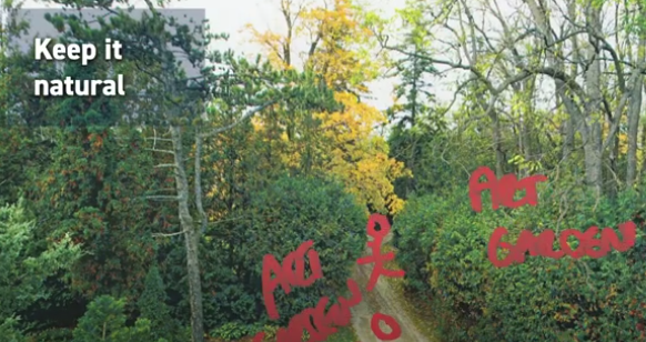 Newmarket’s historic Mulock property park moves to design phase