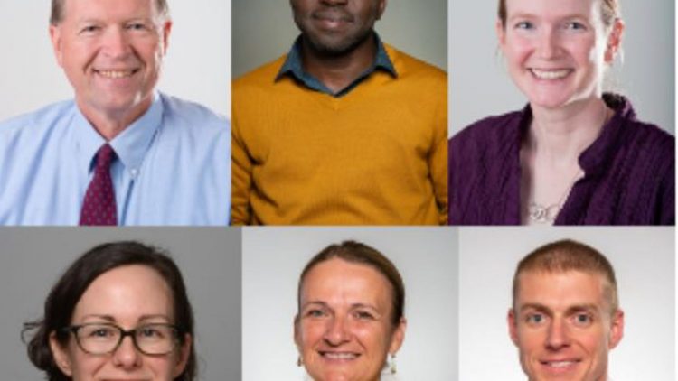 Dairy Innovation Hub funds UW Faculty fellowships