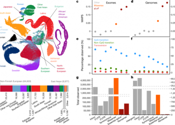 The mutational constraint spectrum quantified from variation in 141,456 humans