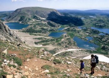 Massive Logging Putsch Planned for Wyoming’s Medicine Bow Forest