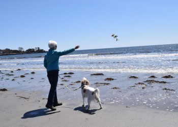 Kennebunk beaches to reopen Friday – News – fosters.com