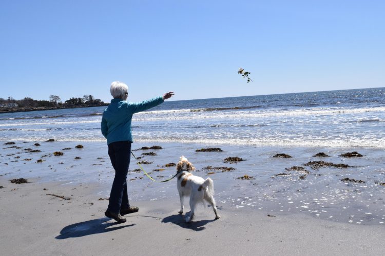 Kennebunk beaches to reopen Friday – News – fosters.com