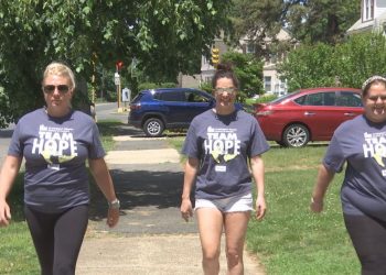 Springfield Virtual Team Hope Walk raises funds for Huntington’s disease research