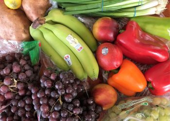 University of Massachusetts study on breast milk, healthy diet seeks participants