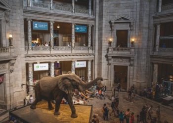 How to Evaluate Without a Staff Evaluator – American Alliance of Museums