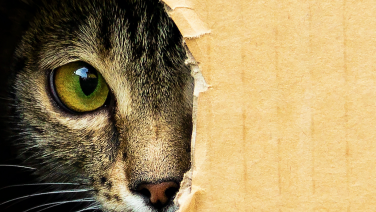 Study says doing this once frowned-upon thing will help you reach your goals