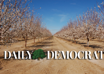 Ballot measure could increase funding for Woodland schools – Daily Democrat