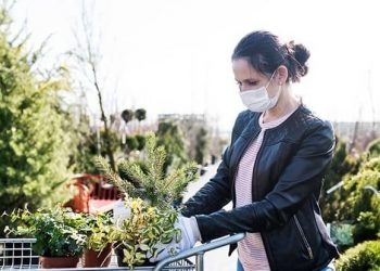 New SAF survey reports strong flower sales for Mother’s Day 2020