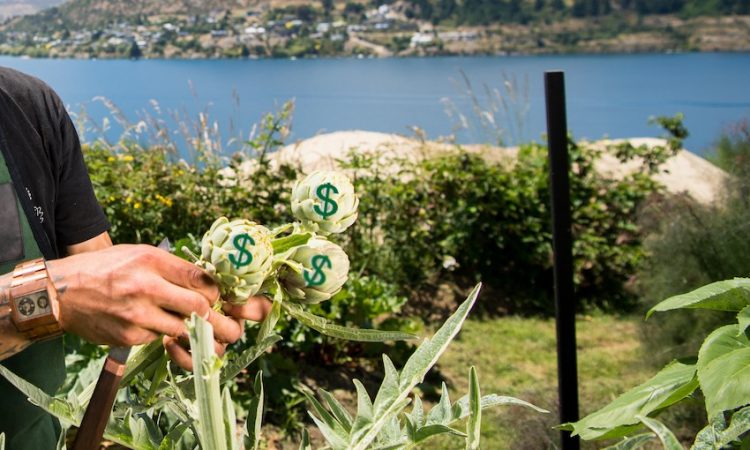 Never let a good crisis go to waste: How our food sector can save NZ’s economy