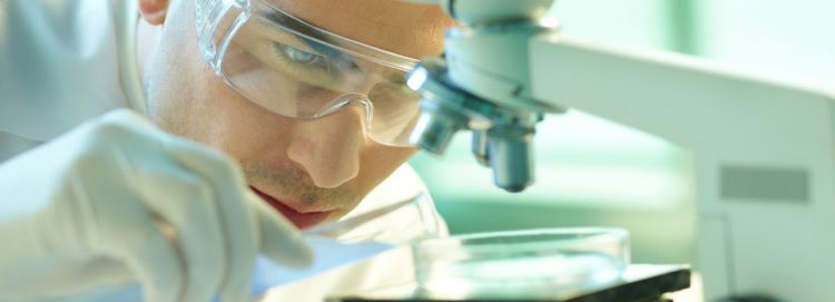 Is CSPC Pharmaceutical Group Limited (HKG:1093) An Attractive Dividend Stock?