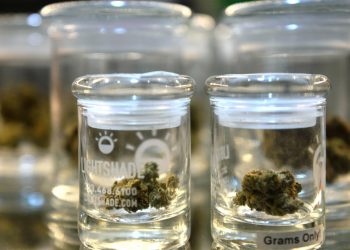 Recession Weed Is Here – CBS Denver