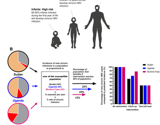 Modelling intervention strategies based on a systematic review and meta-analysis