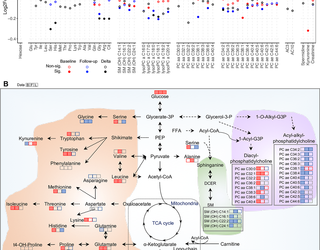 Amino acid and lipid metabolism in post-gestational diabetes and progression to type 2 diabetes: A metabolic profiling study
