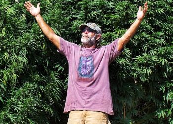 A Hidden Origin Story of the CBD Craze