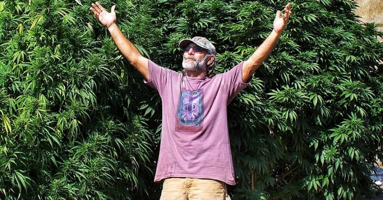 A Hidden Origin Story of the CBD Craze