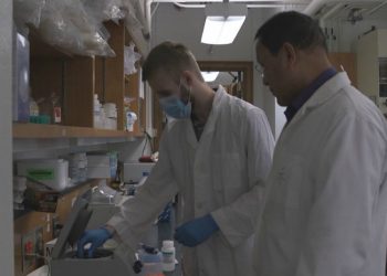 Texas A&M scientist discovers first COVID-19 treatment drug