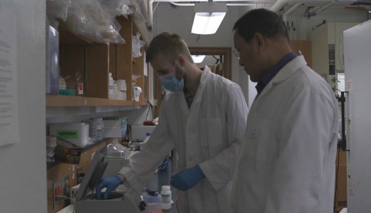 Texas A&M scientist discovers first COVID-19 treatment drug