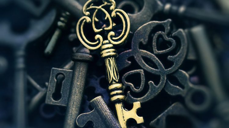 In-house development a ‘key proposition’ for Digitain